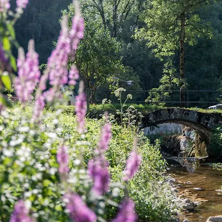 Domaine Et D'hotes Des Fees Pretin